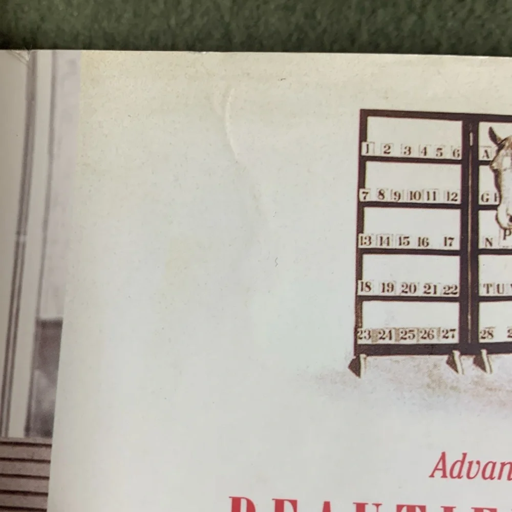 Beautiful Jim Key by Mim Eichler Rivas - Picture 5 of 6